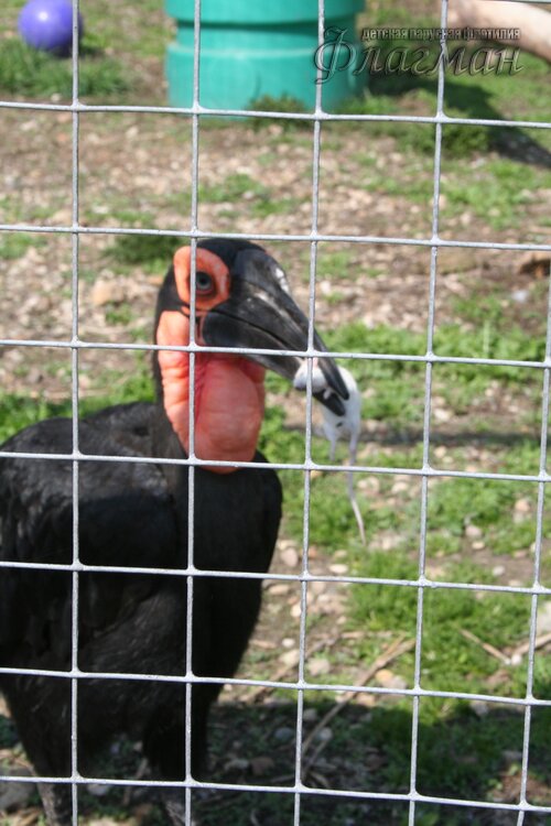 IMG_0742_r